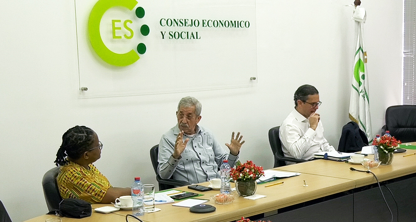 Reunión de la Subcomisión de la Comisión Ejecutiva del Consejo Económico y Social