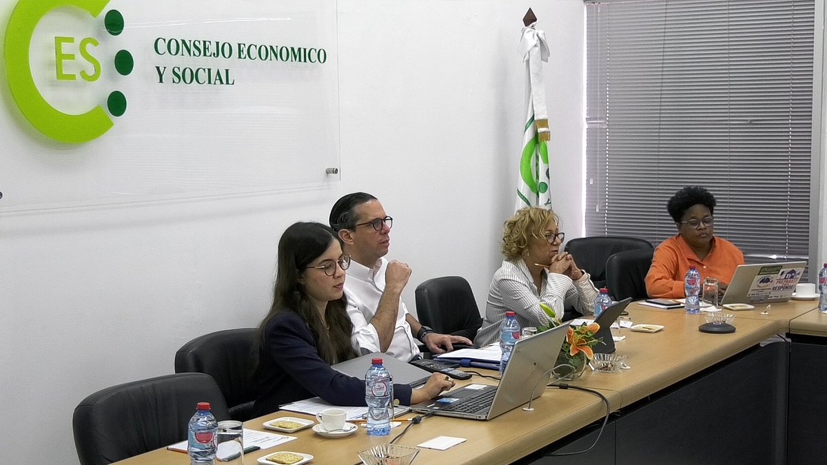Reunión de la Comisión Ejecutiva del Consejo Económico y Social