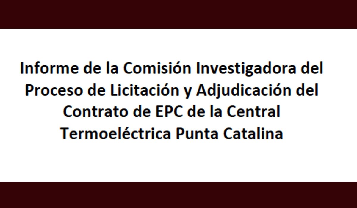 Informe de la Comisión para la investigación del proceso de licitación y adjudicación de la Central Termoeléctrica Punta Catalina