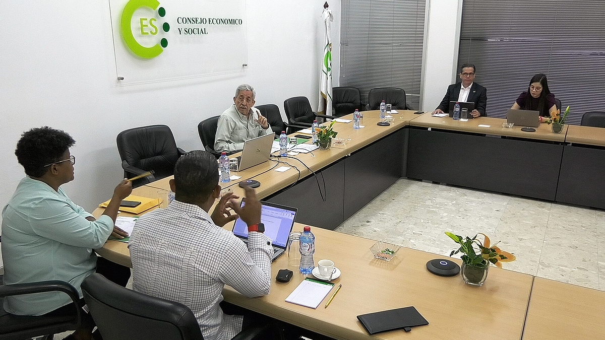 Reunión de la Comisión Ejecutiva del Consejo Económico y Social