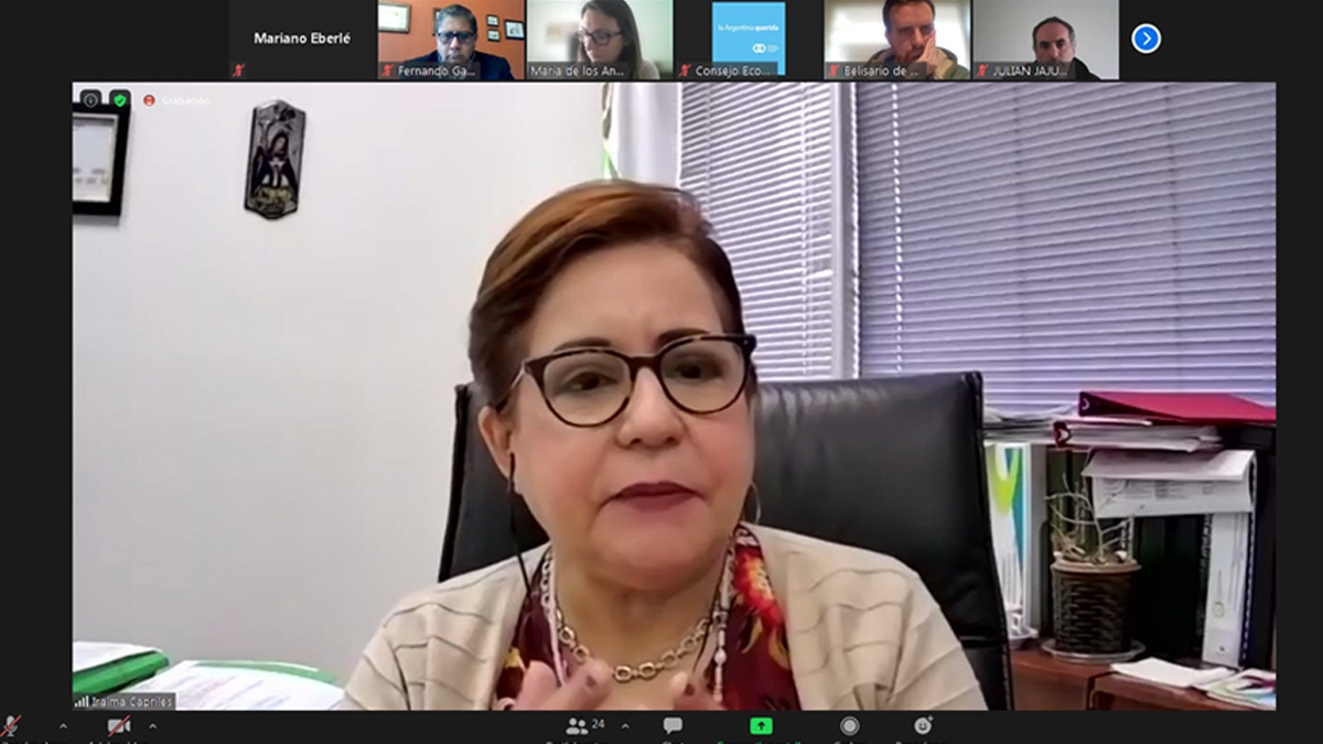 VIDEO: Experiencia del CES dominicano. Ejes fundamentales de la esencia de un CES
