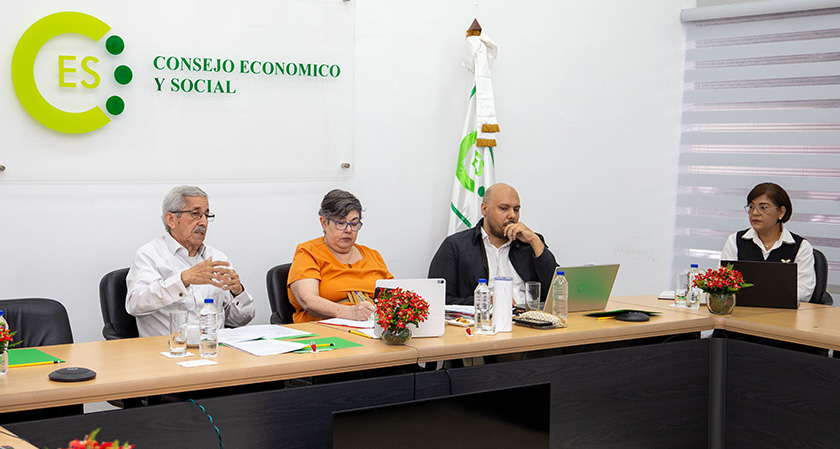 Reunión de la Comisión Ejecutiva del Consejo Económico y Social