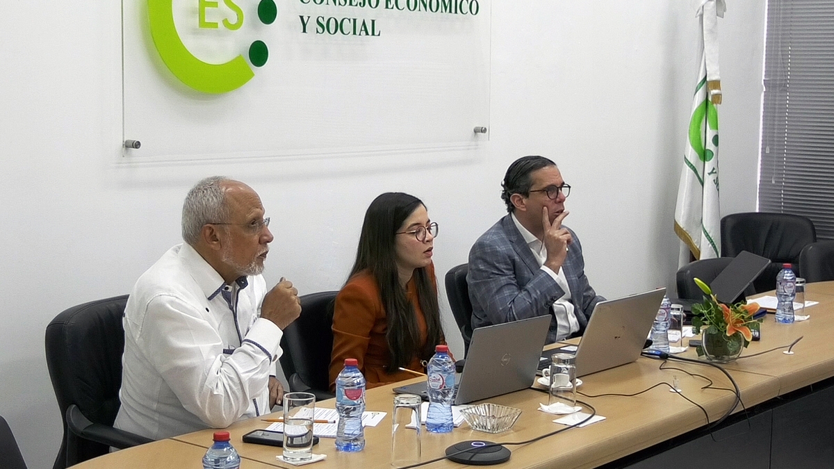 Reunión del Pleno de Integrantes del Consejo Económico y Social