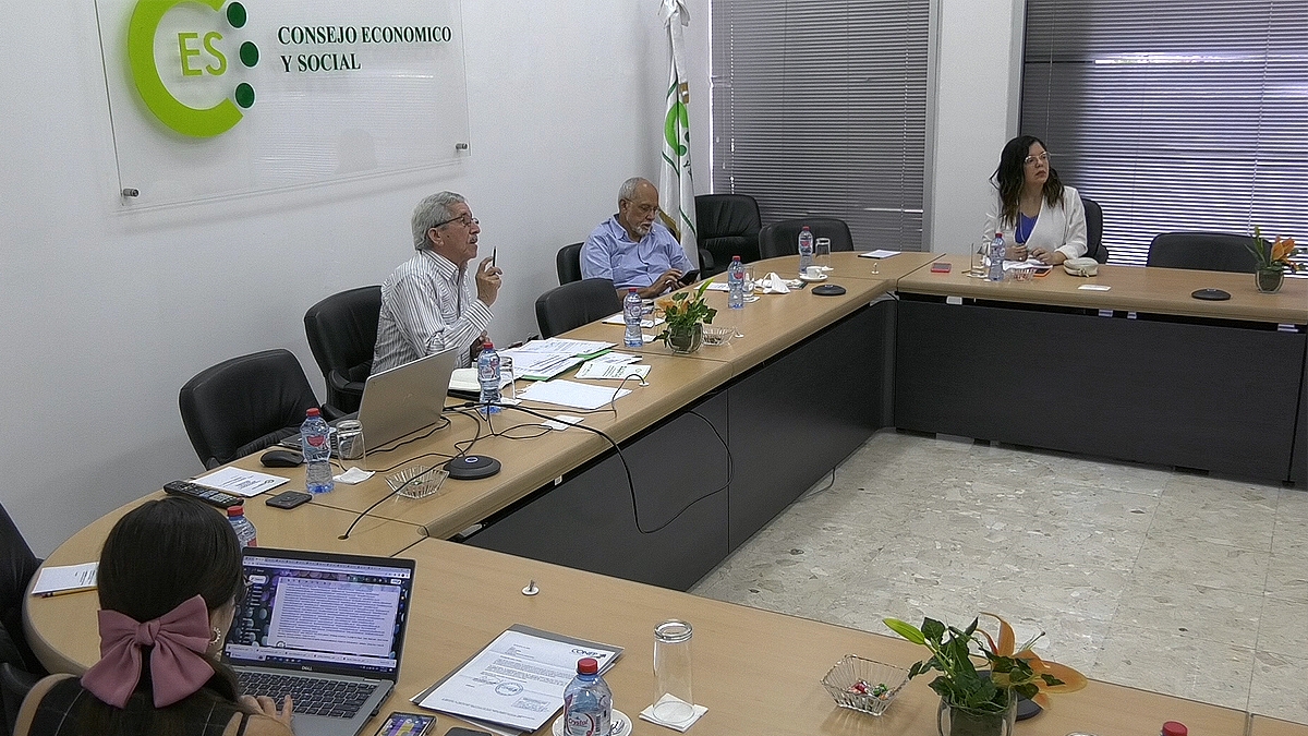 Reunión del Pleno de Integrantes del Consejo Económico y Social