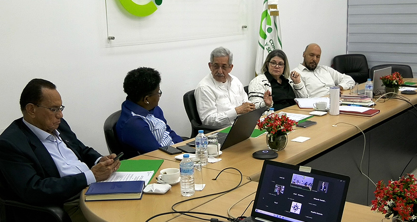 Reunión de la Comisión Ejecutiva del Consejo Económico y Social