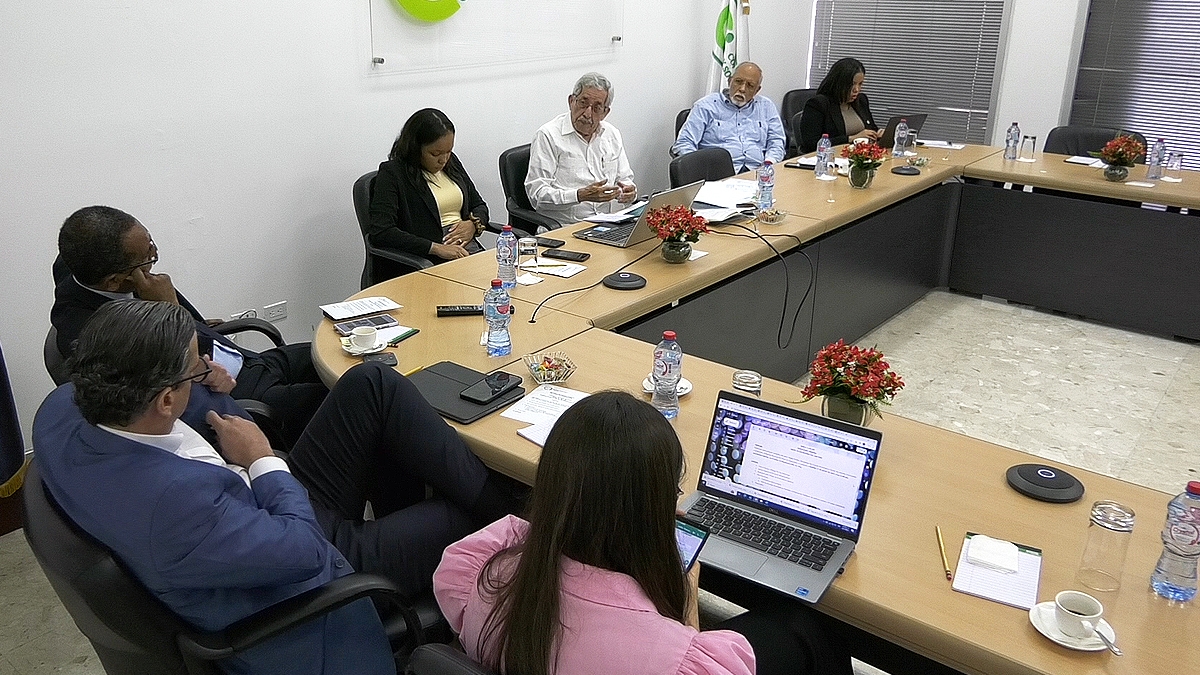 Reunión del Pleno de Integrantes del Consejo Económico y Social