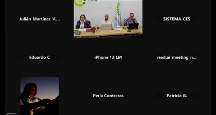 Reunión de la Comisión Ejecutiva del Consejo Económico y Social